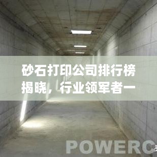 砂石打印公司排行榜揭曉，行業(yè)領(lǐng)軍者一覽