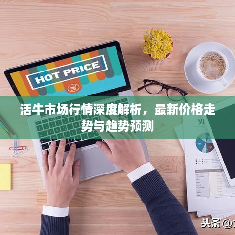 活牛市場(chǎng)行情深度解析，最新價(jià)格走勢(shì)與趨勢(shì)預(yù)測(cè)