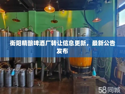 衡陽精釀啤酒廠轉(zhuǎn)讓信息更新，最新公告發(fā)布