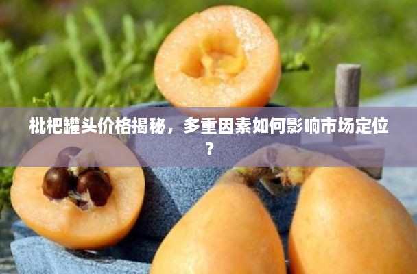 枇杷罐頭價格揭秘，多重因素如何影響市場定位？