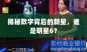 揭秘數(shù)字背后的新星，誰是明星6？