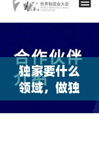獨(dú)家要什么領(lǐng)域，做獨(dú)家代理有什么要求 