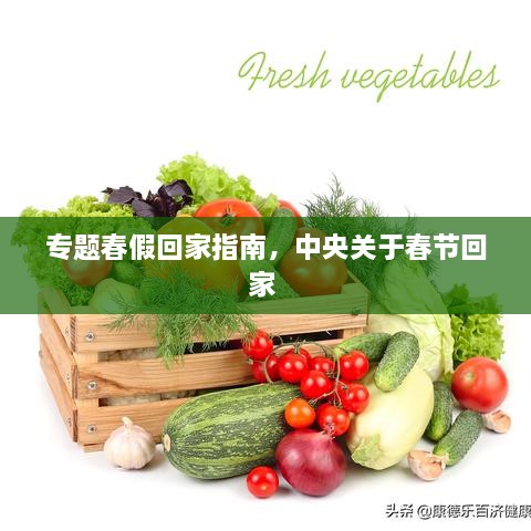專題春假回家指南，中央關于春節(jié)回家 