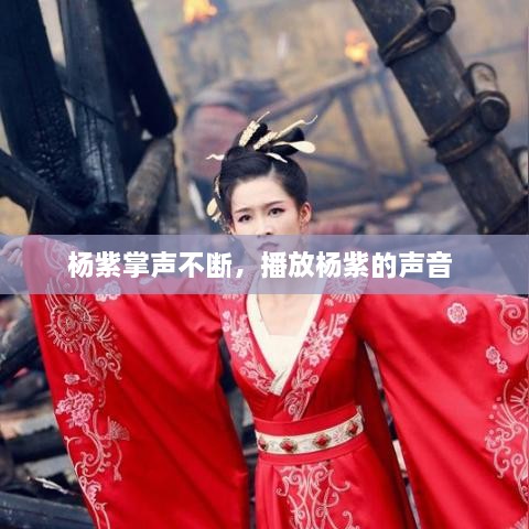 楊紫掌聲不斷，播放楊紫的聲音 