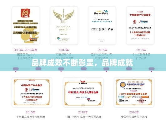 品牌成效不斷彰顯，品牌成就 