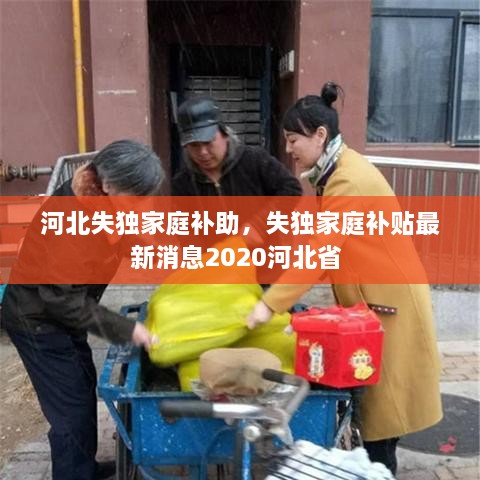 河北失獨(dú)家庭補(bǔ)助，失獨(dú)家庭補(bǔ)貼最新消息2020河北省 