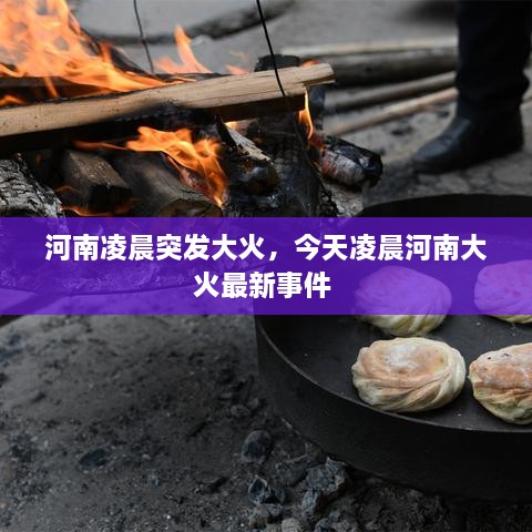河南凌晨突發(fā)大火，今天凌晨河南大火最新事件 