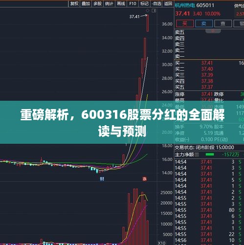 重磅解析，600316股票分紅的全面解讀與預(yù)測(cè)