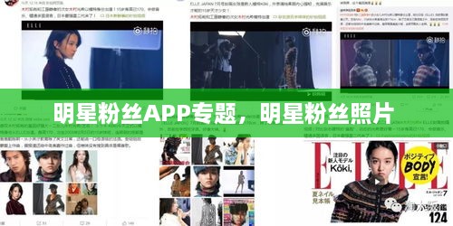 明星粉絲APP專(zhuān)題，明星粉絲照片 