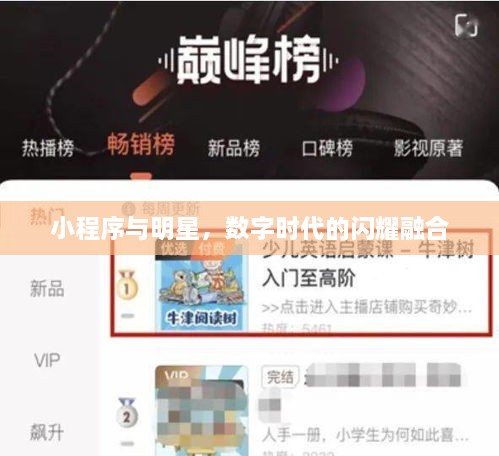 小程序與明星，數字時代的閃耀融合