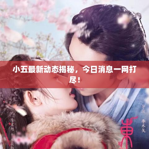 小五最新動態(tài)揭秘，今日消息一網打盡！