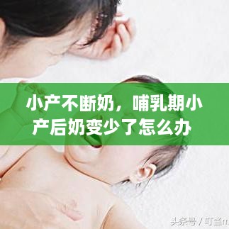 小產(chǎn)不斷奶，哺乳期小產(chǎn)后奶變少了怎么辦 