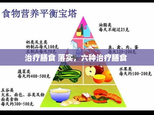 治療膳食 落實，六種治療膳食 