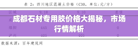 成都石材專用膠價格大揭秘，市場行情解析