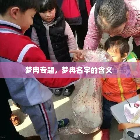 夢冉專題，夢冉名字的含義 