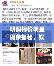 明碼標(biāo)價明星現(xiàn)象揭秘，娛樂圈的新挑戰(zhàn)與觀察