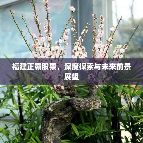 福建正霸股票，深度探索與未來前景展望