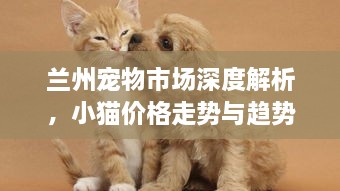 蘭州寵物市場深度解析，小貓價格走勢與趨勢探尋