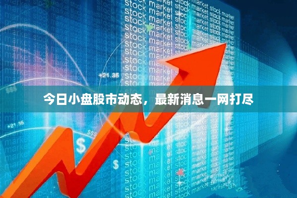 今日小盤股市動(dòng)態(tài)，最新消息一網(wǎng)打盡