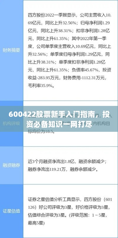 600422股票新手入門指南，投資必備知識一網(wǎng)打盡