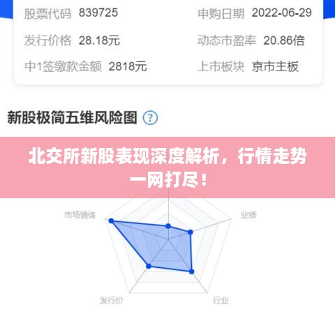 北交所新股表現(xiàn)深度解析，行情走勢一網(wǎng)打盡！