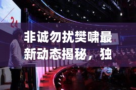 非誠(chéng)勿擾樊嘯最新動(dòng)態(tài)揭秘，獨(dú)家爆料吸引眼球！