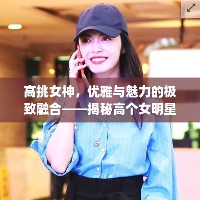 高挑女神，優(yōu)雅與魅力的極致融合——揭秘高個(gè)女明星的魅力風(fēng)采